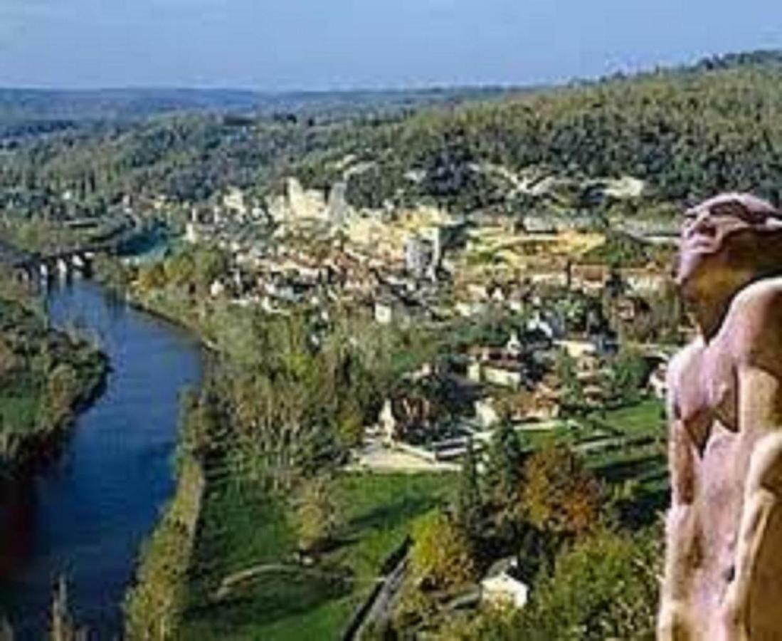 Les Pruniers De La Cipiere Villa Peyzac-le-Moustier Eksteriør billede
